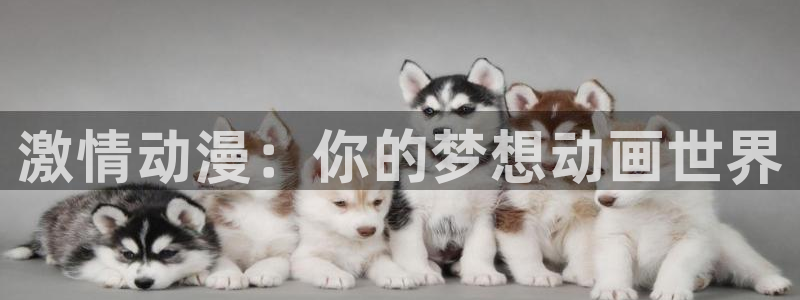 名侦探柯南风车动漫：激情动漫：你的梦想动画世界