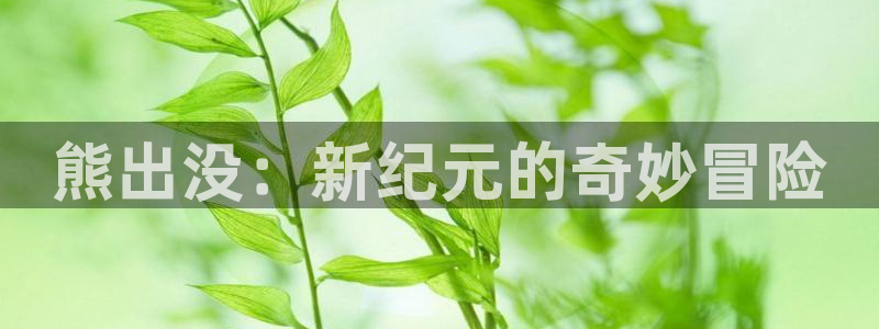 风车动漫0：熊出没：新纪元的奇妙冒险