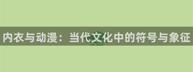 xl上司风车动漫：内衣与动漫：当代文化中的符号与象征