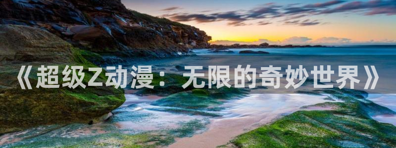 风车动漫官网入门：《超级Z动漫：无限的奇妙世界》
