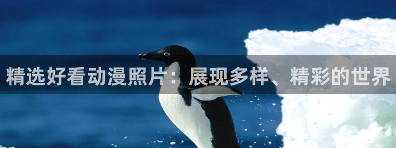 风车动漫在线看：精选好看动漫照片：展现多样、精彩的世界