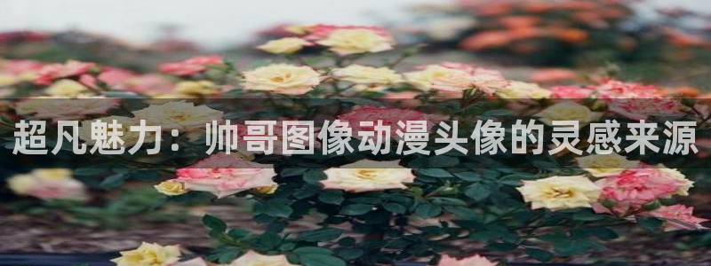大风车动漫网在线看：超凡魅力：帅哥图像动漫头像的灵感来源